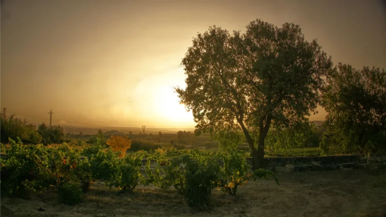 Una semana en La Rioja